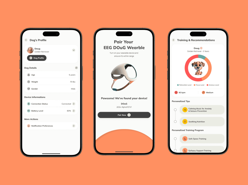 project description image
