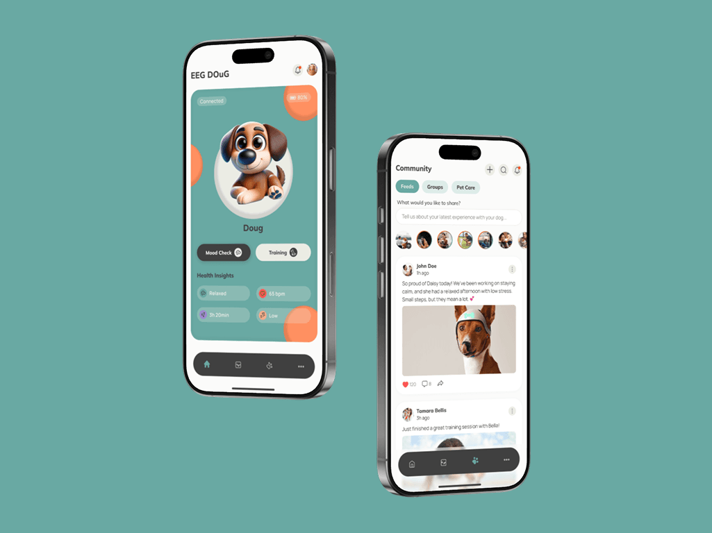 project description image