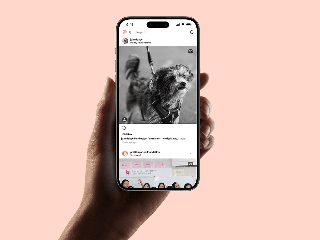 case studie attribute